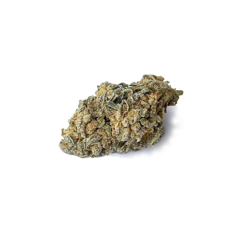 CBD-kwiat Austin Powers od I LOVE POT: Zielono-brązowy, gęsto pokryty kryształkami kwiat konopi z delikatnymi trichomami na białym tle...