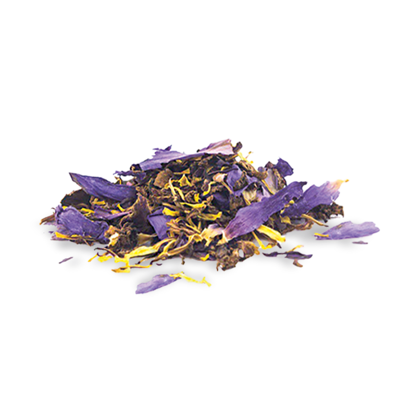 NIEBIESKI LOTOS Herbata z suszonymi fioletowymi płatkami kwiatów i żółtymi włóknami na białym tle od I LOVE POT