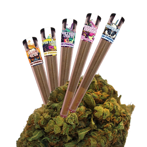 CBD PREROLL