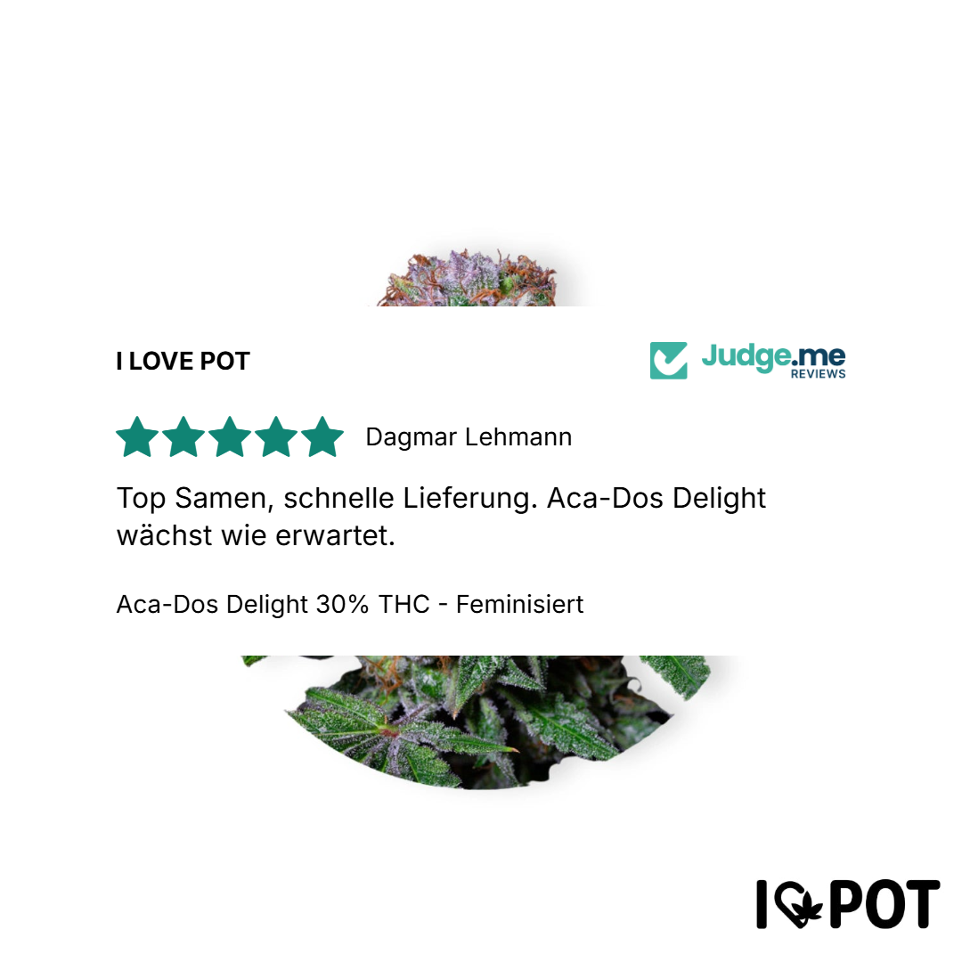 Aca-Dos Delight 30% THC - Feminizada