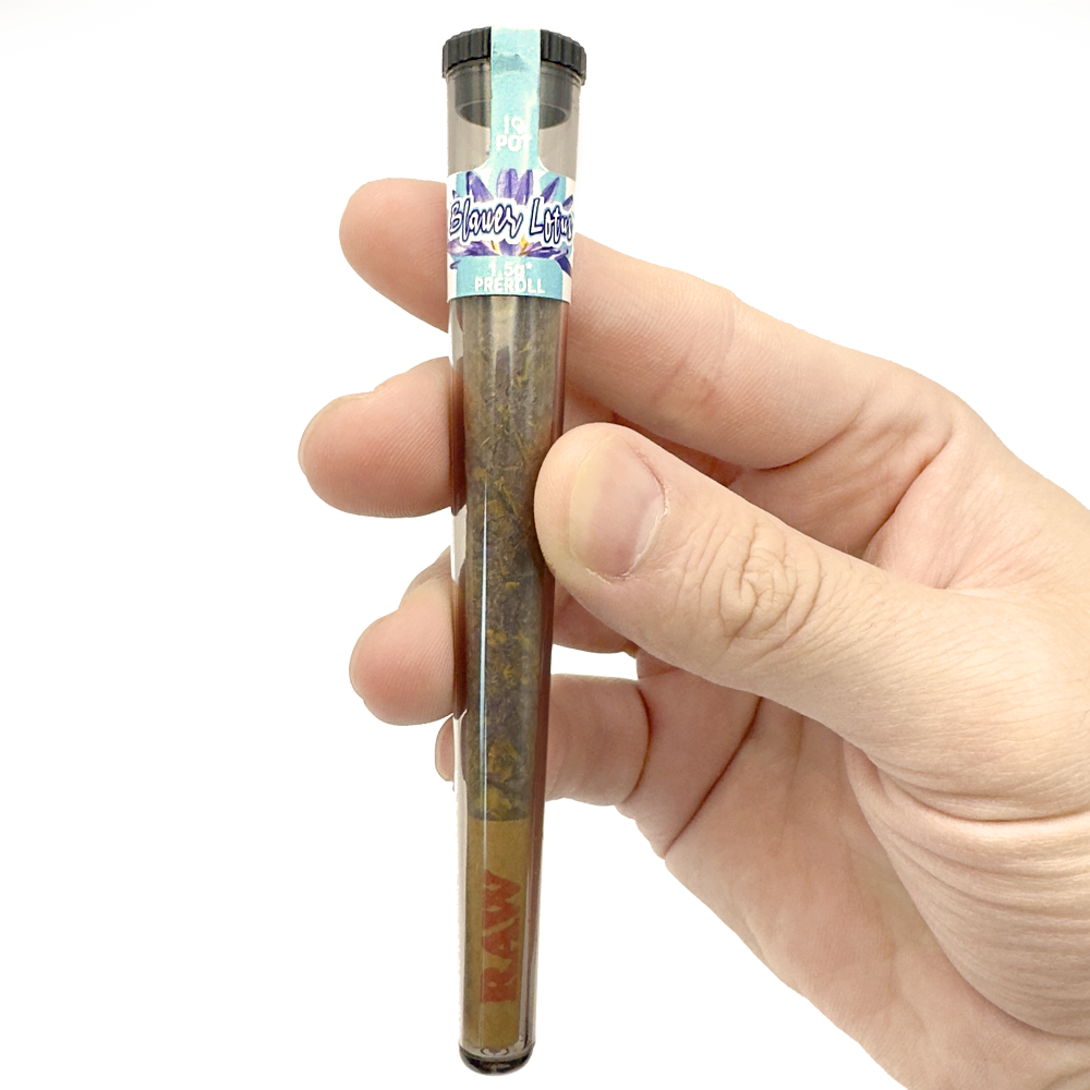 Main tient un LOTUS BLEU pré-roulé avec une étiquette violette, I LOVE POT lot de 5 pièces, emballage de tabac visible.
