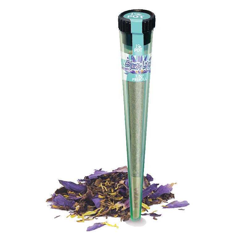 NIEBIESKI LOTOS Pre Roll z zielonym opakowaniem oraz luźno wysuszonym Kwiaty w kolorach fioletowym i żółtym od I LOVE POT.