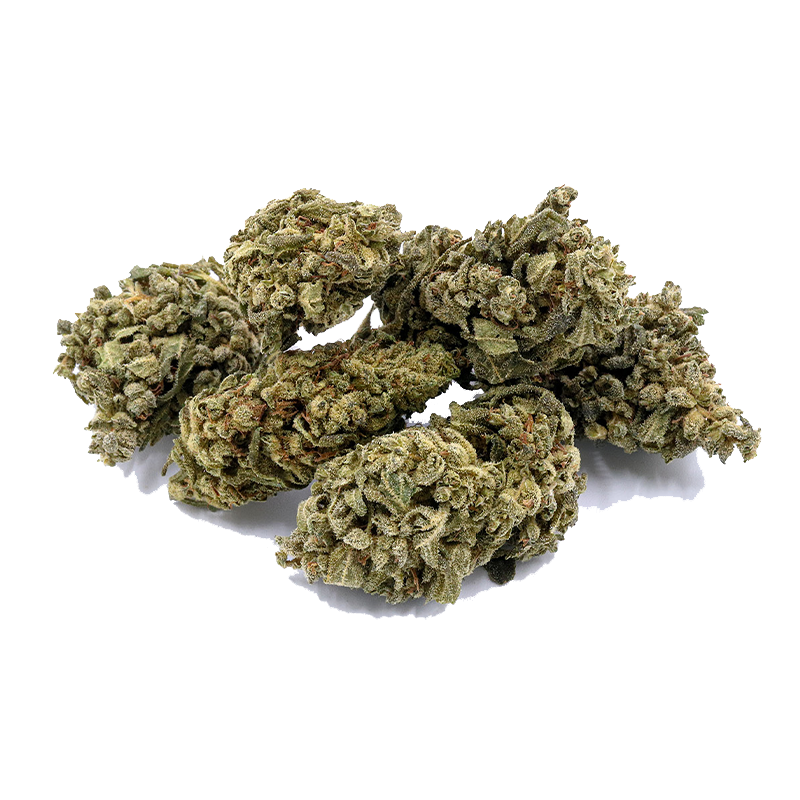 CBD-kwiat Blueberry Yum Yum od I LOVE POT: Zielone, gęsto rozgałęzione kwiaty z krystalicznymi strukturami na białym ...