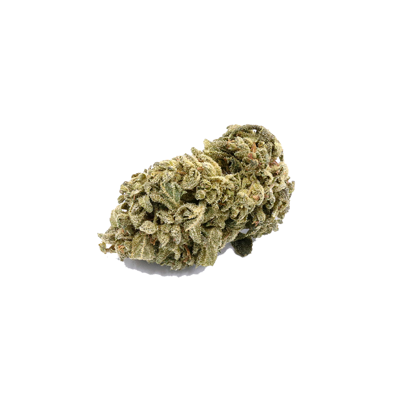 CBD-fleur Blueberry Yum Yum de I LOVE POT : Fleur dense et verte avec un revêtement cristallin de trichomes sur un fond blanc...