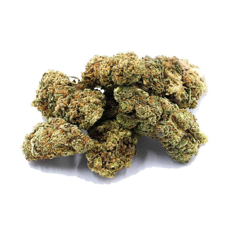 CBD-Fleur Harlequin de I LOVE POT : Fleurs vertes, densément ramifiées, avec de fins poils dorés sur un fond blanc.