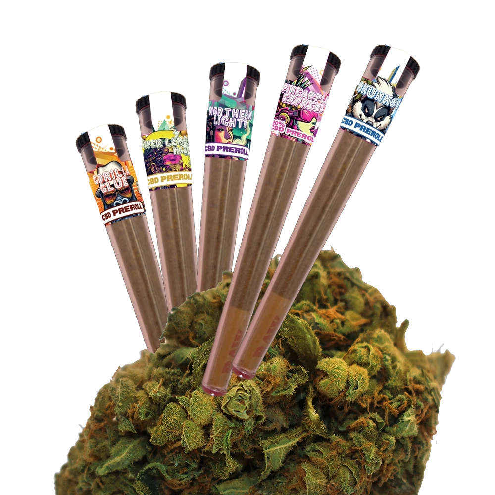 Cinq joints pré-roulés CBD de différentes variétés avec des étiquettes colorées sur une fleur de cannabis verte. Série de produits I LOVE POT.
