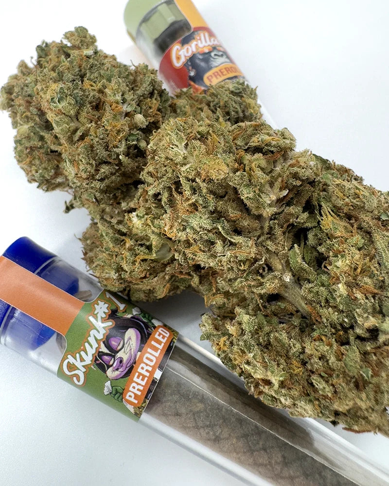 HHZ Pre-Roll Gorilla Glue: Flores secas de cannabis Flores con abundante recubrimiento de tricomas, acompañadas de elementos de embalaje en ...