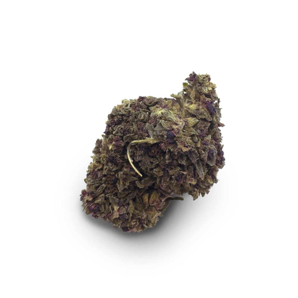 HHZ Flor Purple Diesel con cogollos de flores verde-violeta sobre fondo blanco, disponible en I LOVE POT.