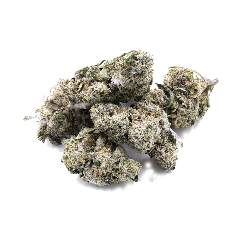 Fleur de CBD Snow Kush de I LOVE POT : fleurs denses, blanc-vert, avec un voile cristallin sur fond blanc.