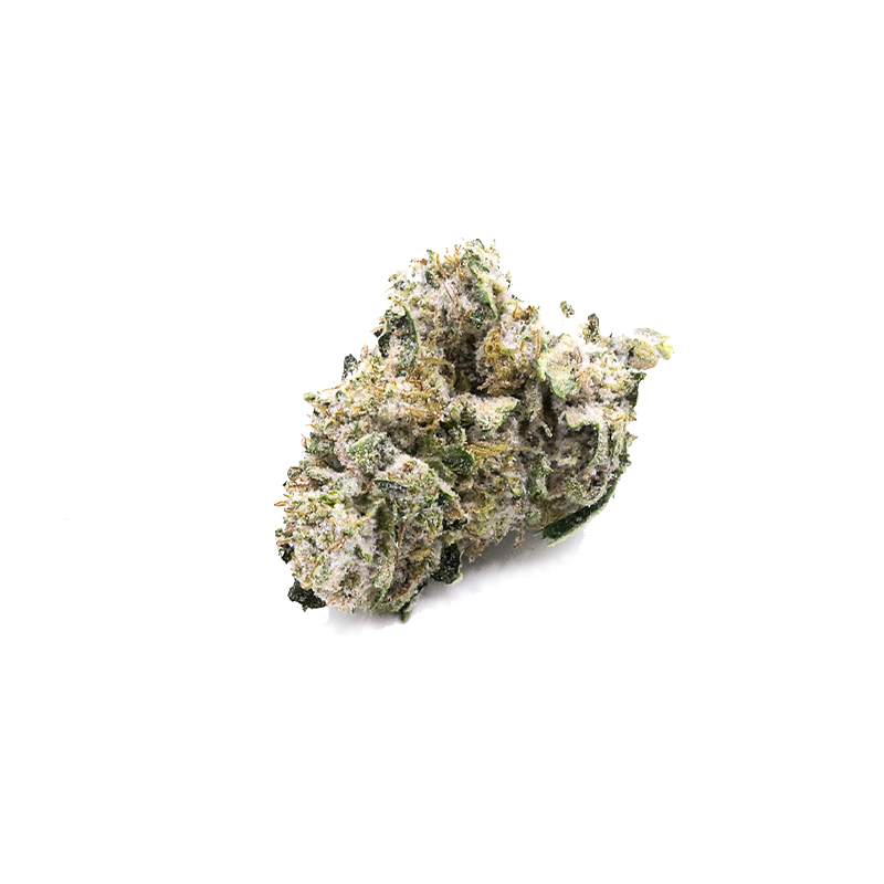 CBD blossom Snow Kush from I LOVE POT: Dense, white-green cannabis blossom with a crystalline trichome coating on a white background.