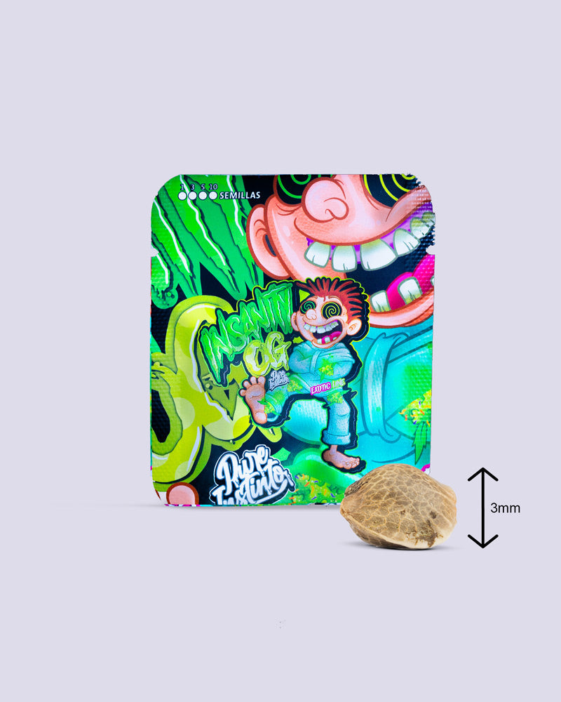 Insanity OG graines de cannabis 30 % THC - emballage coloré avec des illustrations de style cartoon et comparaison de taille d’une graine à côté d’une règle de 3 mm...