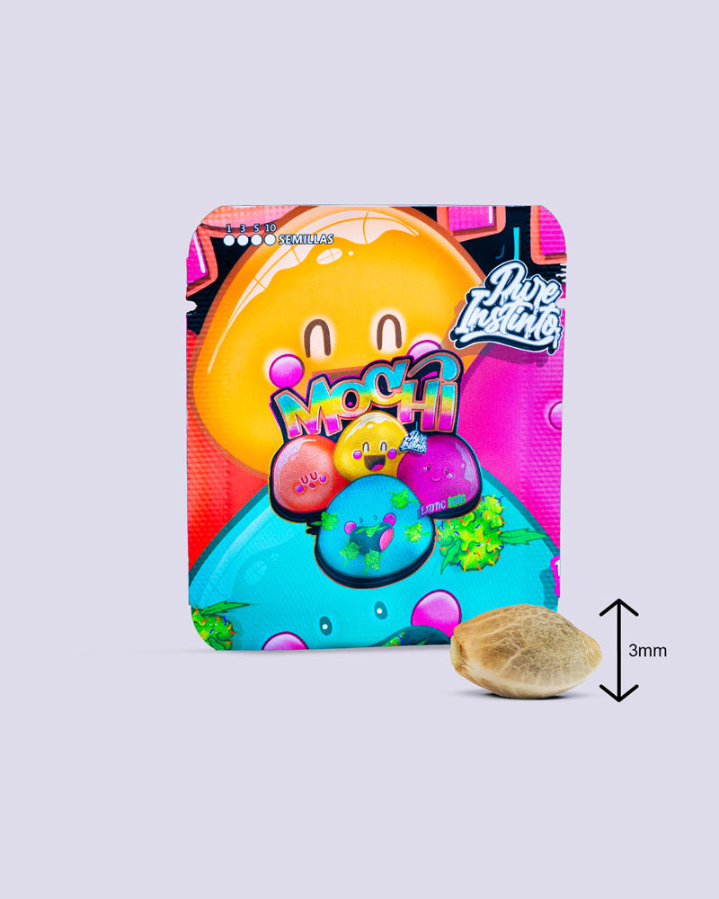 Mochi 28 % THC graines féminisées : emballage coloré avec des personnages de dessin animé, à côté une seule graine avec comparaison de taille de 3 mm...