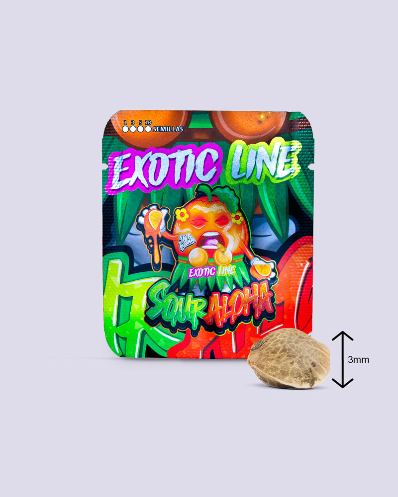 Sour Aloha Féminisée Graines 28 % THC de I LOVE POT : emballage coloré avec masque tiki, motif d’orange et design vert fluo, ...